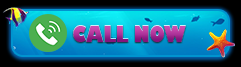 call now contact bar